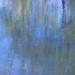 L’étang de Giverny