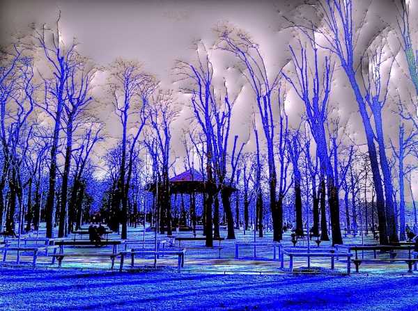Trees in Blue